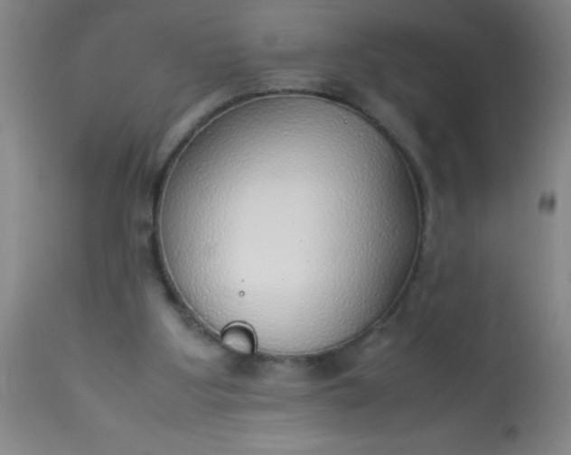 X0000114170107200910221700