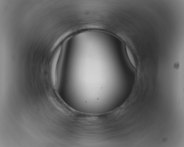 X0000114170108200910221700