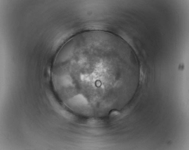 X0000114170109200910221700