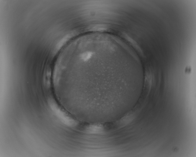 X0000114170110200910221700