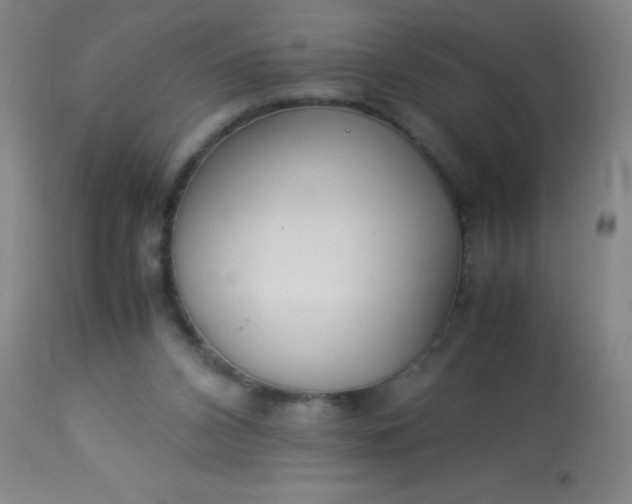 X0000114170112200910221700