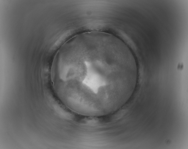 X0000114170113200910221700