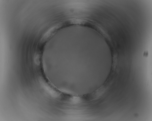 X0000114170114200910221700