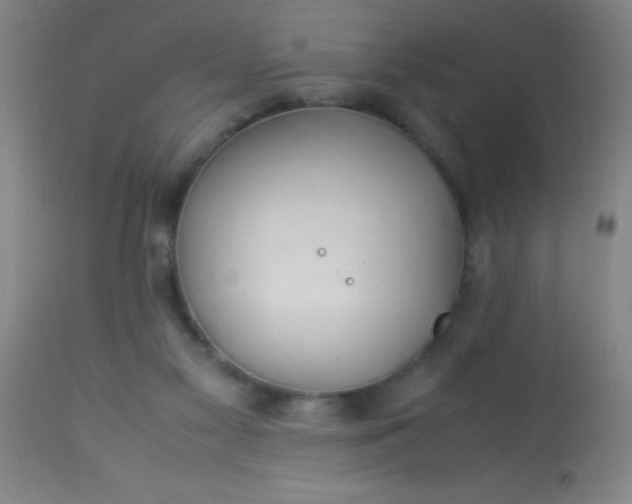 X0000114170117200910221700