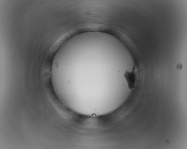 X0000114170119200910221700