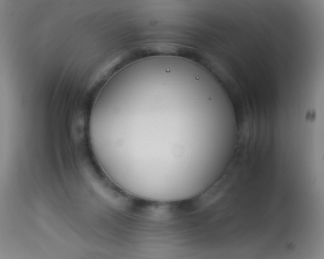 X0000114170120200910221700