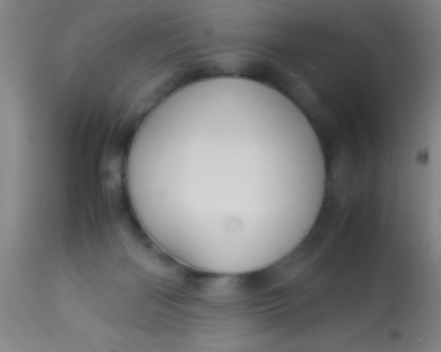 X0000114170122200910221700