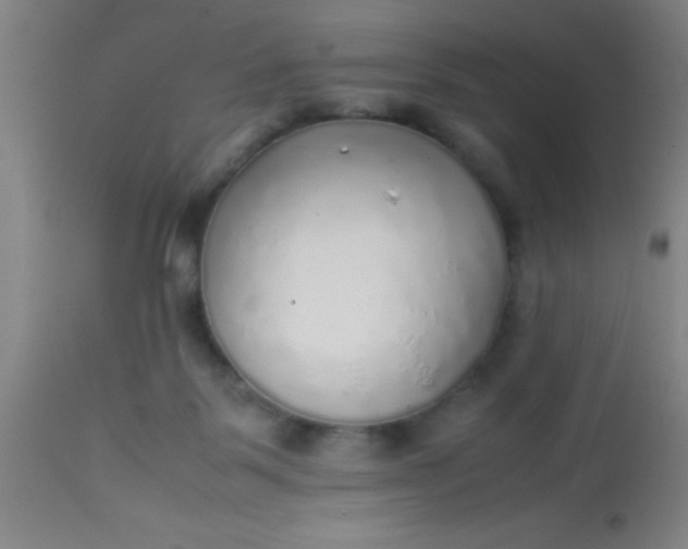 X0000114170123200910221700