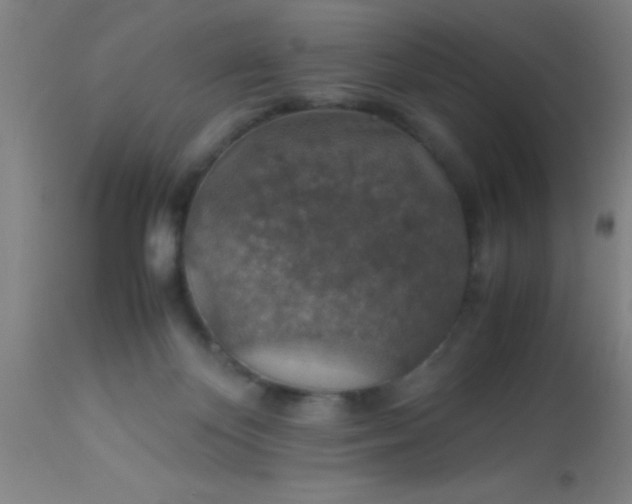 X0000114170124200910221700