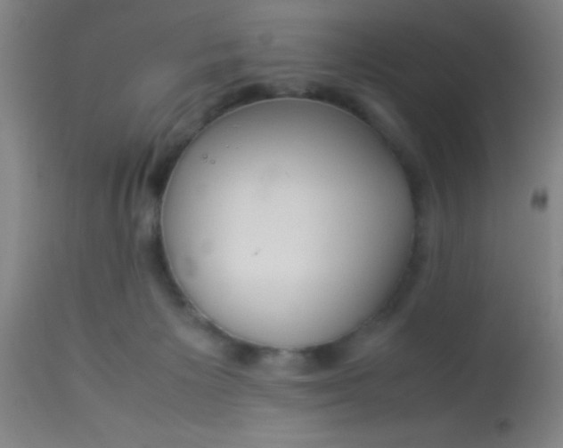 X0000114170125200910221700