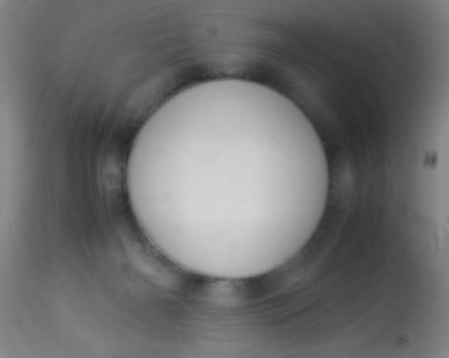 X0000114170126200910221700