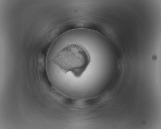 X0000114170127200910221700