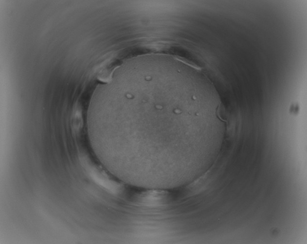 X0000114170128200910221700