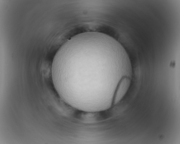 X0000114170129200910221700