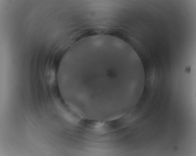 X0000114170130200910221700