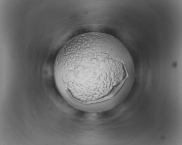 X0000114170131200910221700