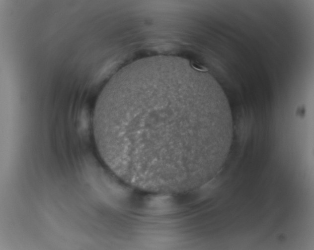 X0000114170132200910221700