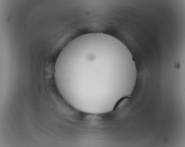 X0000114170133200910221700