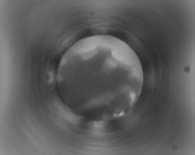 X0000114170134200910221659