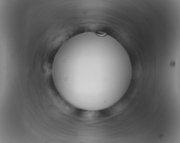 X0000114170135200910221659