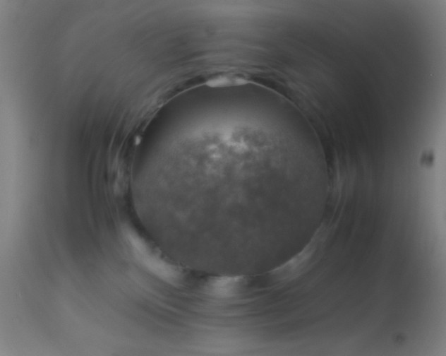 X0000114170136200910221659