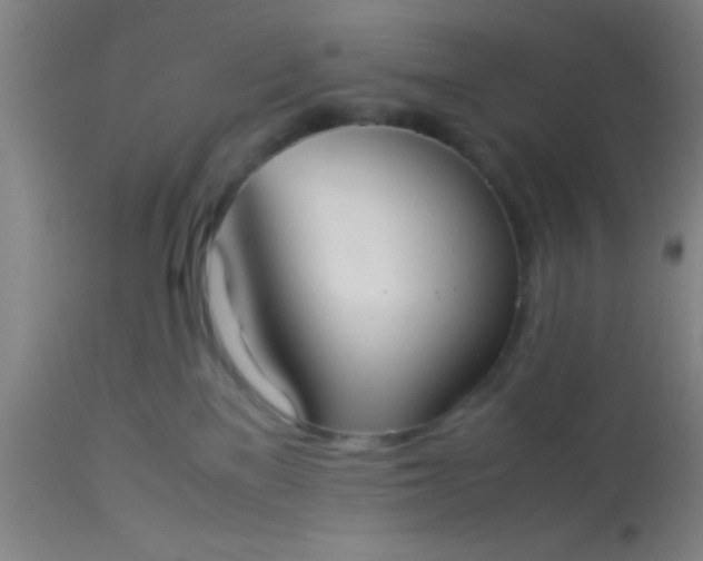 X0000114170137200910221659