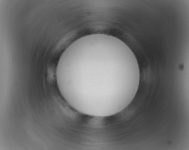 X0000114170138200910221659