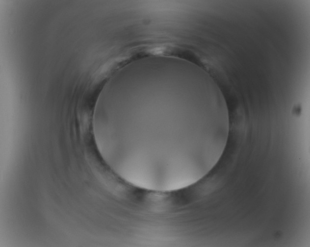 X0000114170139200910221659