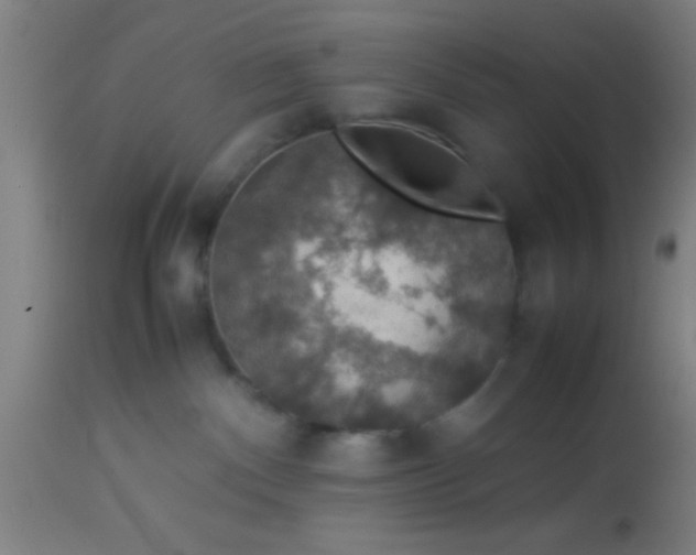 X0000114170140200910221659