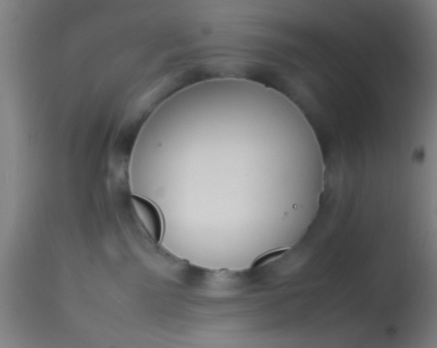 X0000114170141200910221659