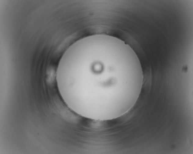 X0000114170142200910221659