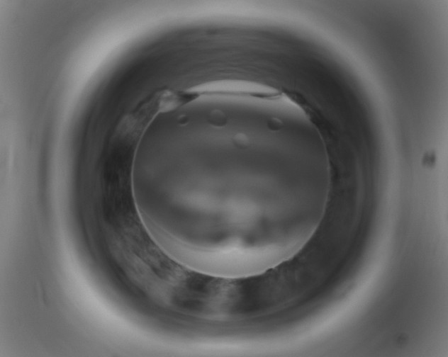 X0000114170143200910221659