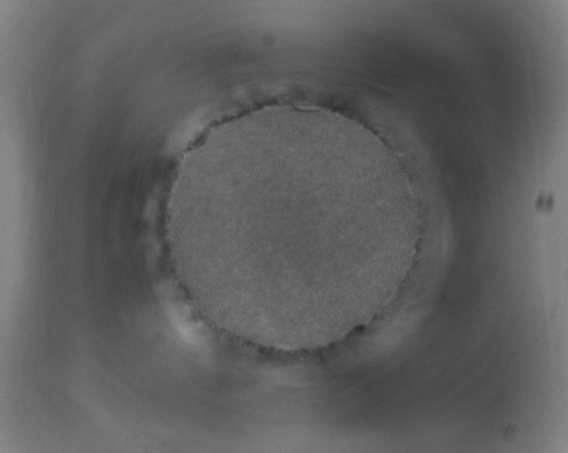 X0000114170144200910221659