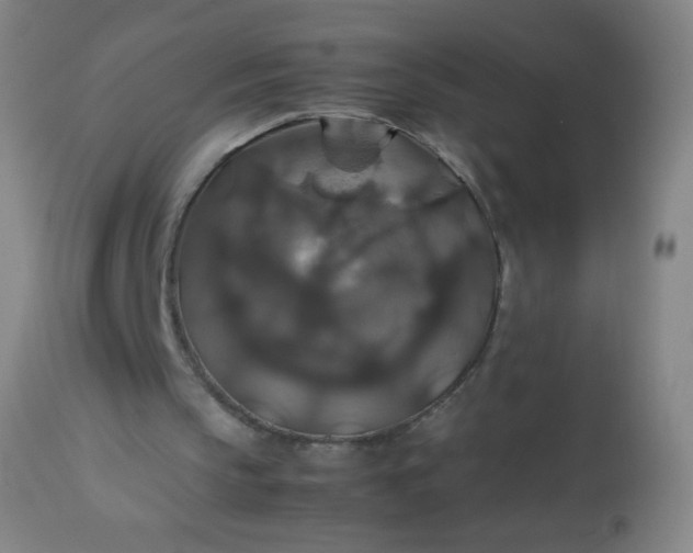 X0000114170145200910221659