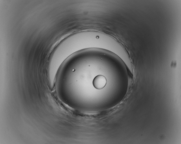 X0000114170146200910221659