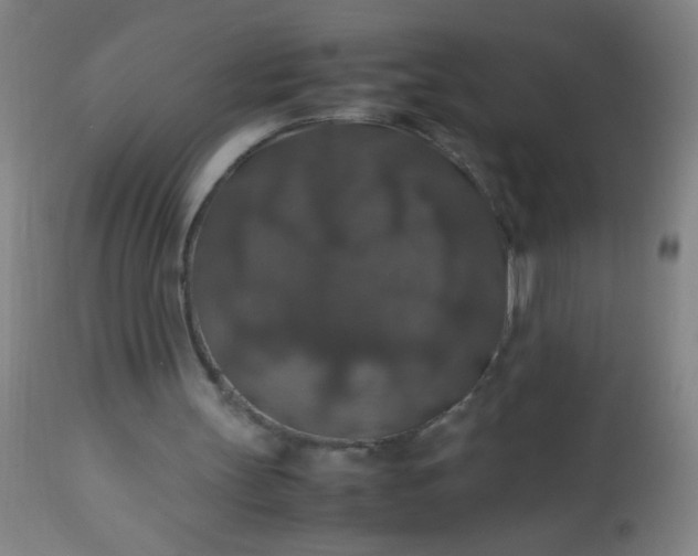 X0000114170147200910221659