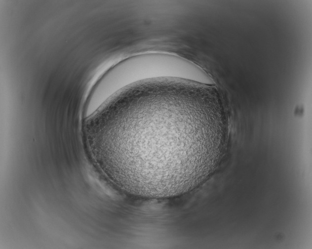 X0000114170148200910221659