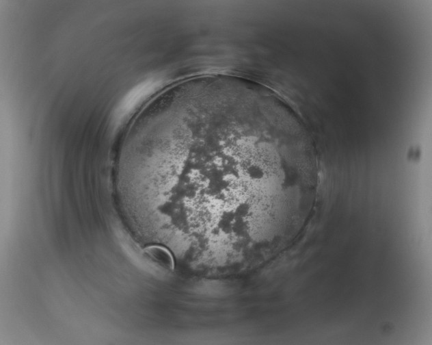 X0000114170149200910221659