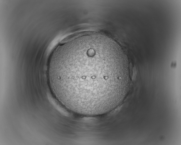 X0000114170150200910221659