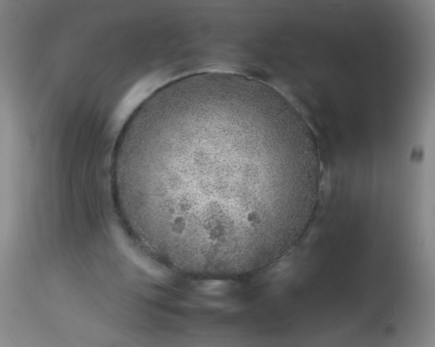 X0000114170151200910221659