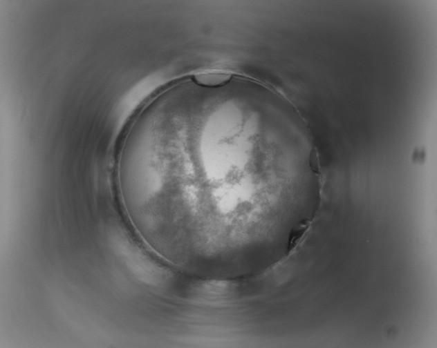 X0000114170152200910221659