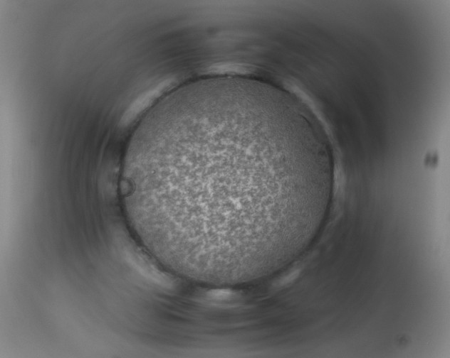 X0000114170153200910221659