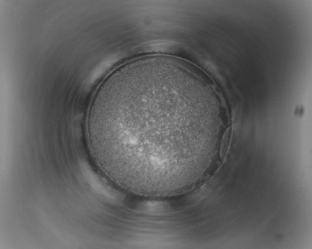 X0000114170154200910221659