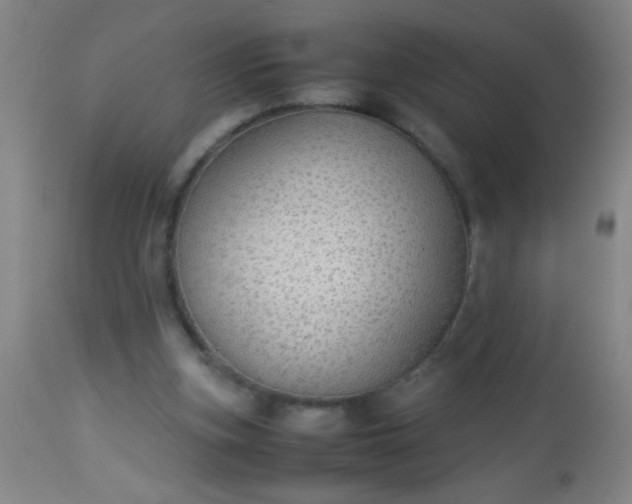 X0000114170155200910221659