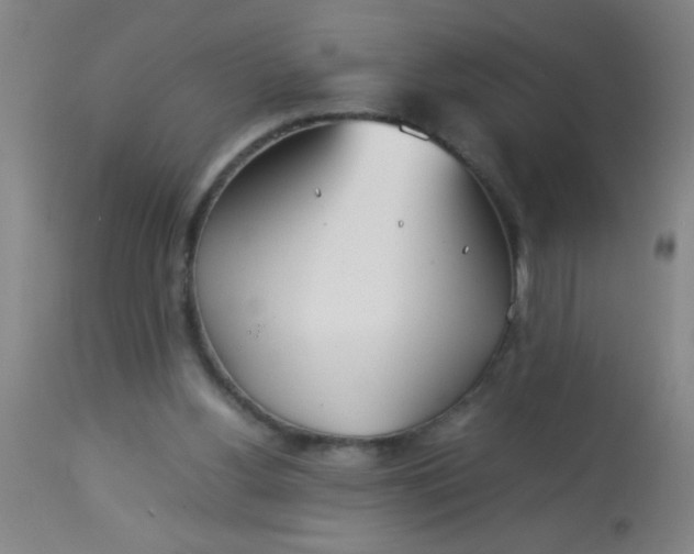 X0000114170156200910221659