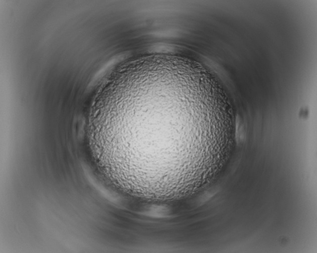 X0000114170157200910221659