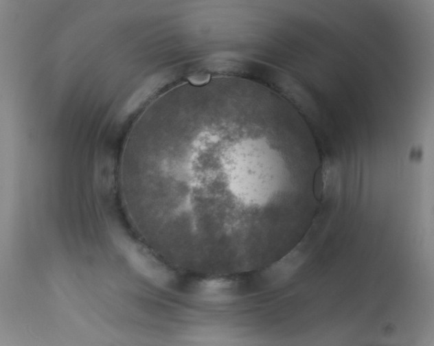 X0000114170158200910221659