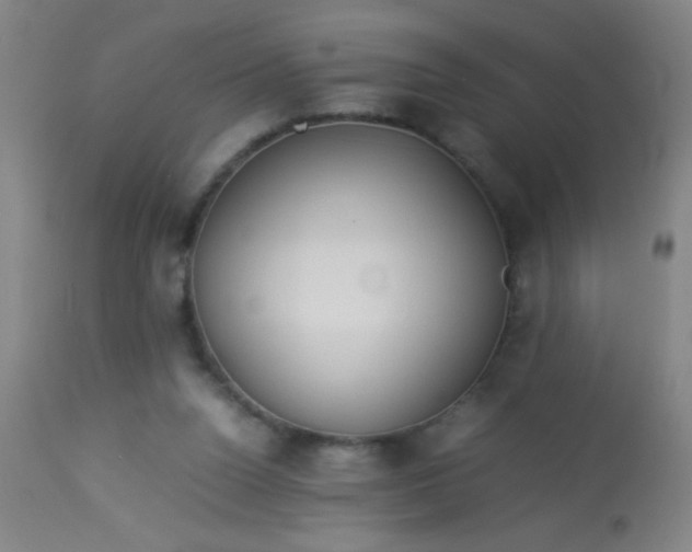 X0000114170160200910221659