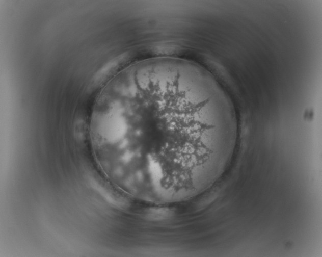 X0000114170161200910221659