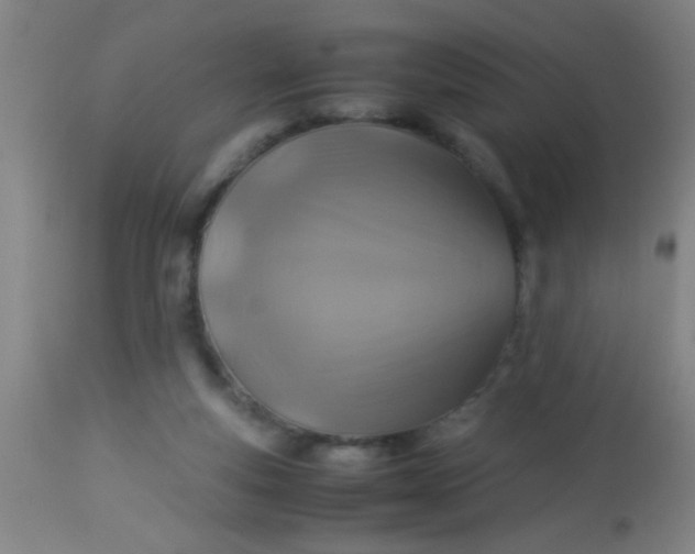 X0000114170163200910221659